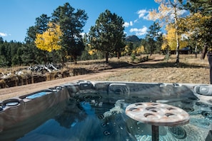 View of Molly B from crystal clear 7 person hot tub