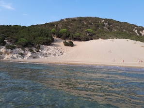 The sand dunes from the sea.