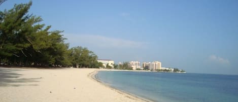 Walk 5 minutes to the world famous Cable Beach