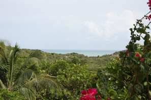 The Atlantic ocean viewed from the upper terrace.