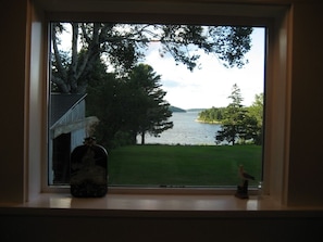 View of the backyard from the kitchen.