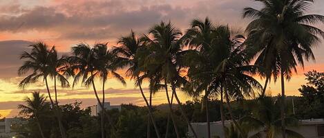 Sunset view from balcony