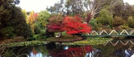 Jardines del alojamiento