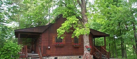 Front and Side View of Cabin