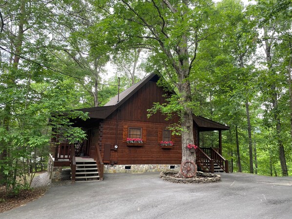 Front & Side View of Cabin. Paved Driveway.