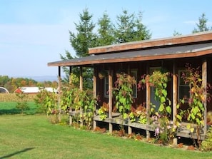 Front of Cabin