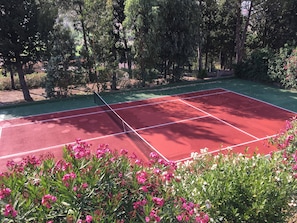 Sport court