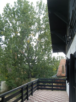 VUE SUR LA TERRASSE