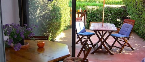 Sun room and garden