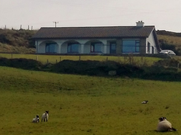 Front of house view from the seaside