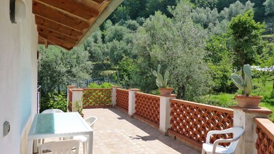 LA VIGNA - HOLIDAY APARTMENT - SAN FRANCESCO - MASSA LUBRENSE - SORRENTO COAST