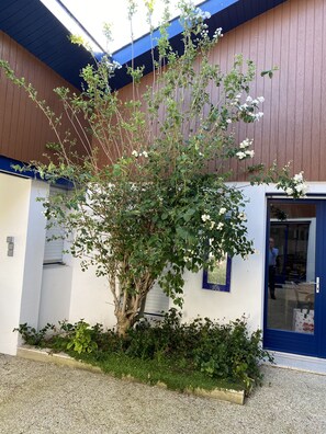 Detalj exteriör