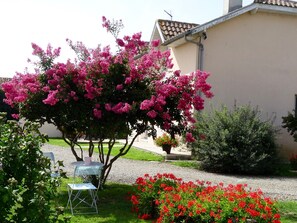 Jardines del alojamiento