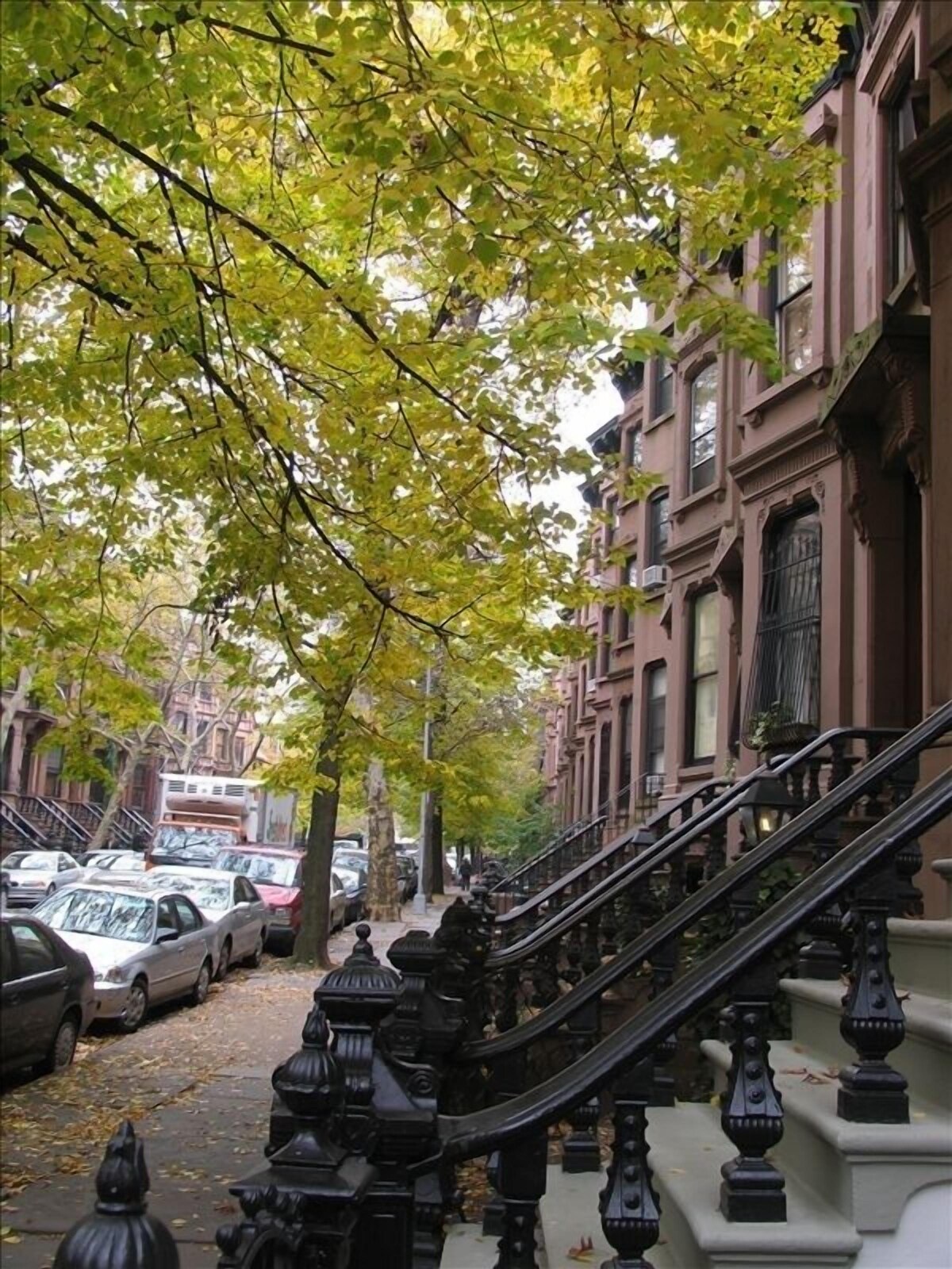 Great Place to Stay in Park Slope