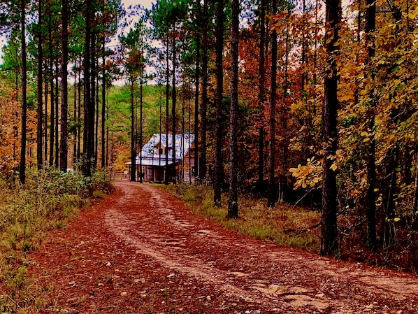 Terrenos do alojamento