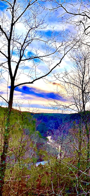 View of river from back porch 