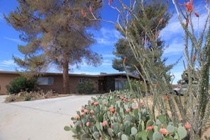 Front of house - surrounded by cacti and pine trees & faced in lava rock.