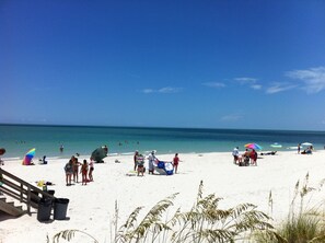 on the famous Naples Beech