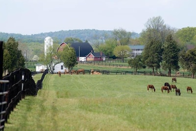 'Pond House' on Huge Horse Farm; Great for Young Families: Escape the City.