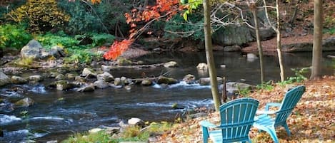 Back yard of Brownie in the fall on Savage River