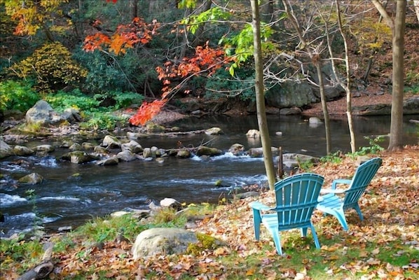 Back yard of Brownie in the fall on Savage River