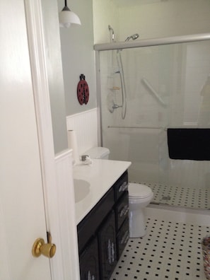 Master bath with walk in shower and handicapped bars