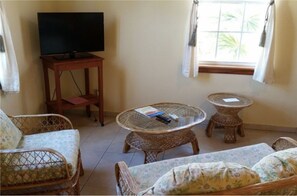 Living Room Area