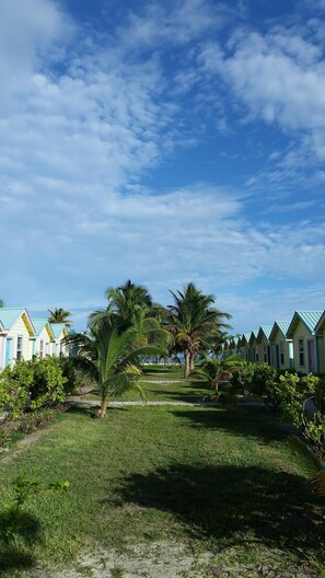 Grounds