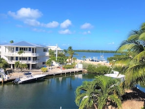 "Irish Ayes"  View of Florida Bay