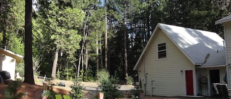 Refreshing afternoon dip among the trees.
