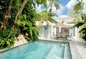 Private Backyard Oasis with Swimming Pool