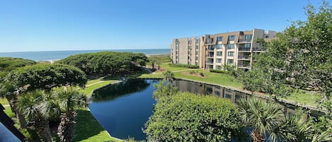 Ocean Balcony View