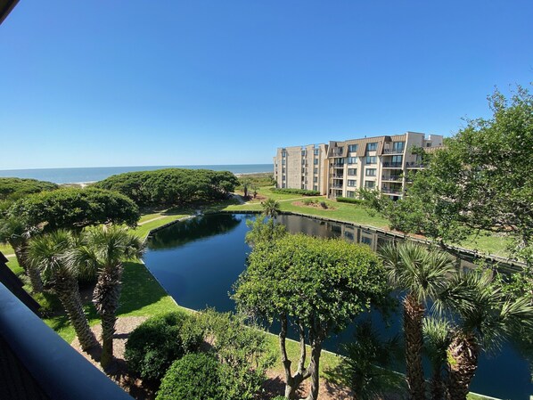 Ocean Balcony View
