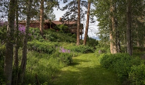 View of the Sheep Camp from the creek bottom.