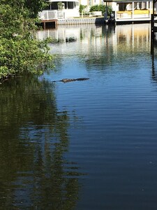 Cozy Apartment Near Downtown Eustis, FL