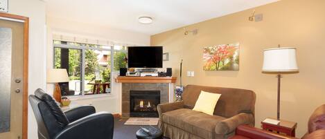 Living room in early spring. Gas fireplace. New Smart TV on moveable arm. 