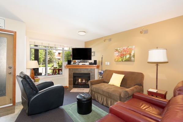 Living room in early spring. Gas fireplace. New Smart TV on moveable arm. 