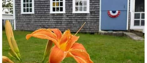 The Barn at Tapley Farm's