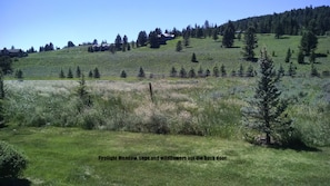 The Sage Meadow out our back deck door--watch for Bluebirds (& moose).