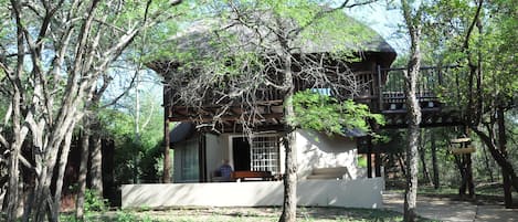 view on the patio from the bush