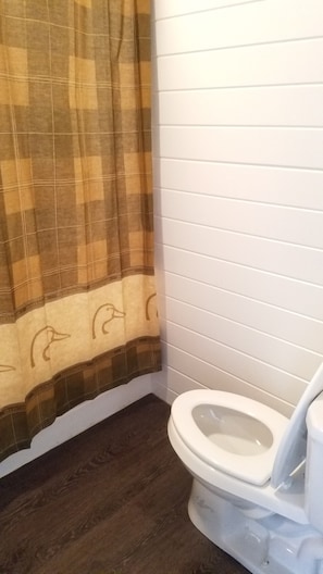 Brand new bathroom