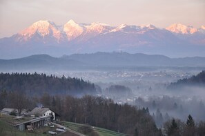 House view