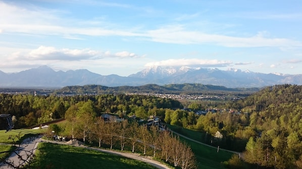 House view