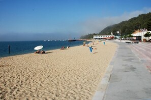 Your beach 300 meter from appartement
