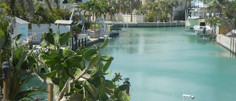 View down the canal