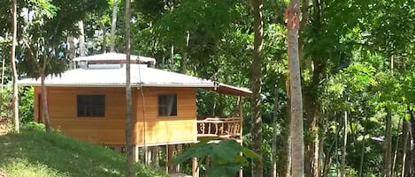 Among the trees and the spacious Hillside Cabin.