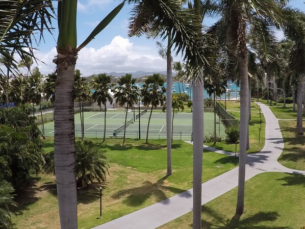 Sports court