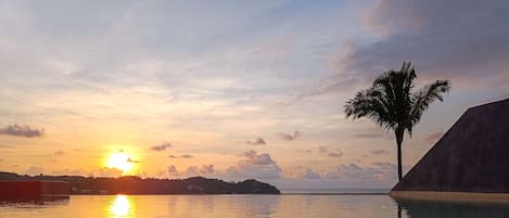 Rooftop infinity pool for all guests at studio Palma, Villa los Corales 