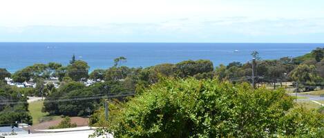 Beach/ocean view