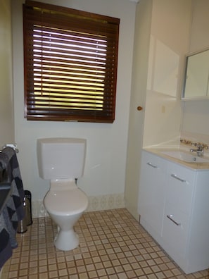 En Suite with Shower with hand soap and body wash